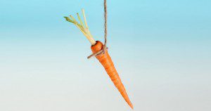 Carrot-on-stick-2